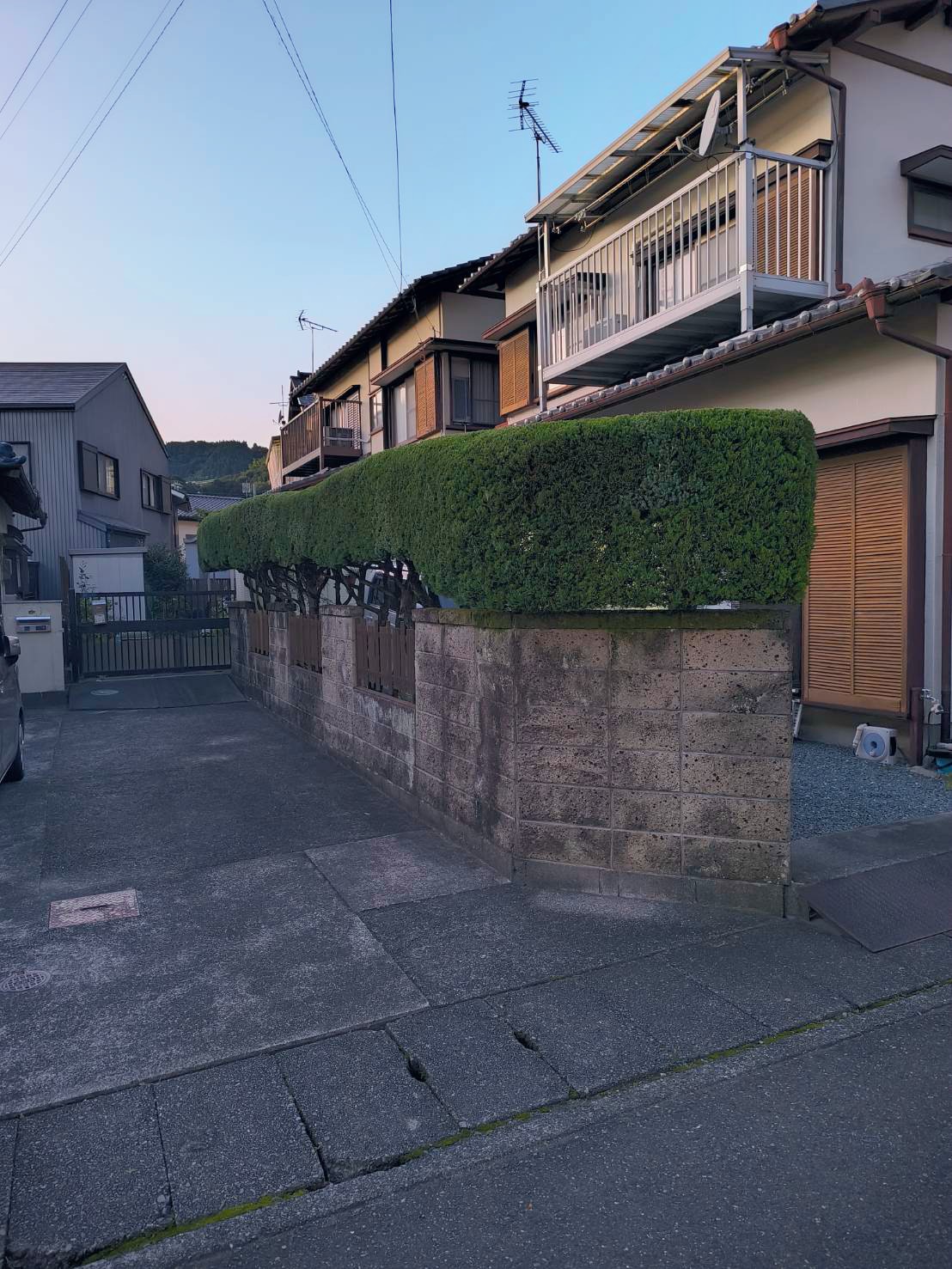 静岡市にて戸建ての垣根の手入れを行いました