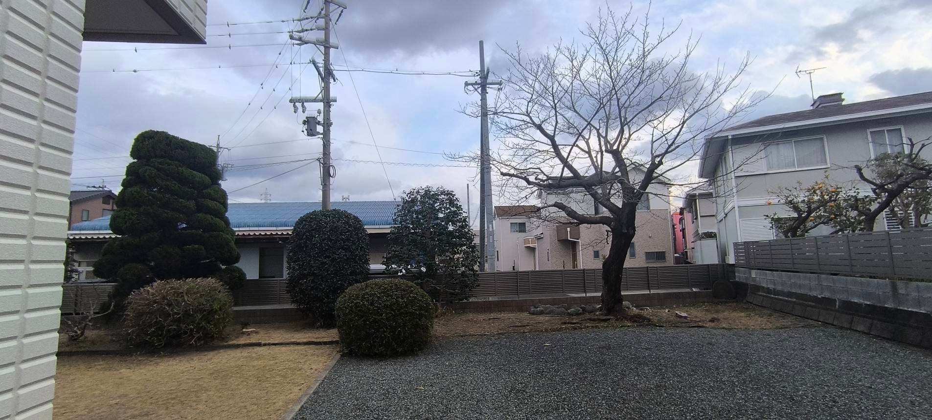 清水区戸建ての庭の剪定を行いました
