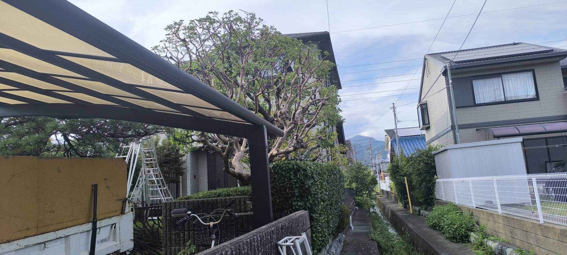 清水区にて戸建ての庭の剪定を行いました